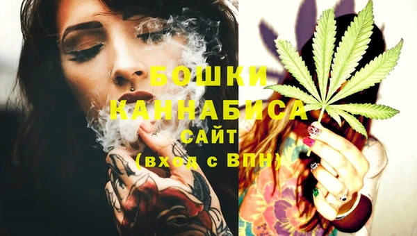 трава Арсеньев
