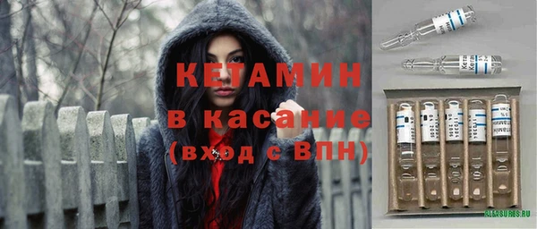 трава Арсеньев